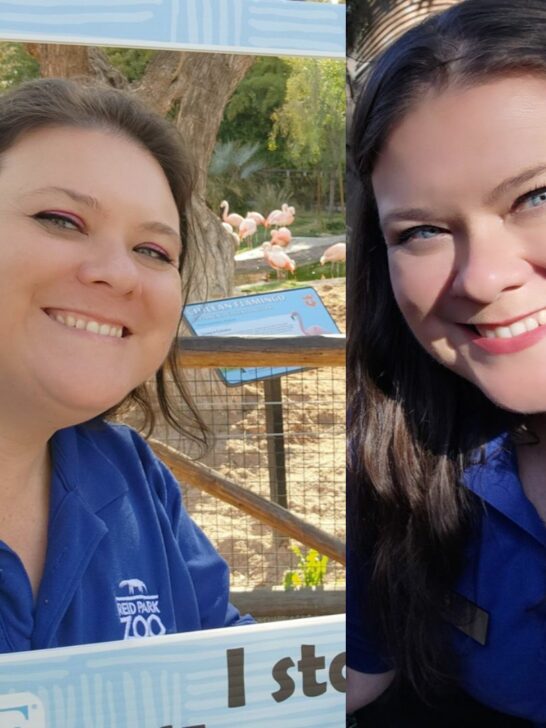 Closing a Chapter: With Gratitude, Grief, and Hope