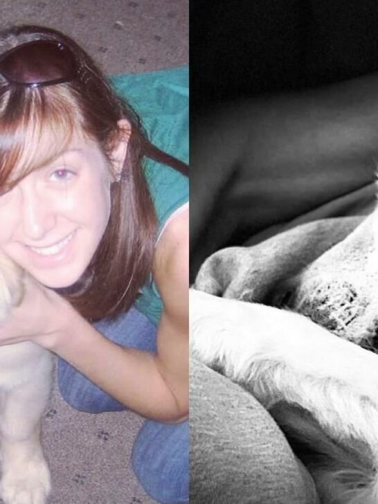  Losing our golden girl, our forever love- How it feels like to lose pure love in life